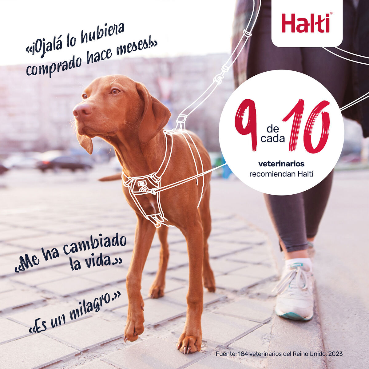 V4H27E1C848B943FCAB4E179A29C83416B4R7523811P10