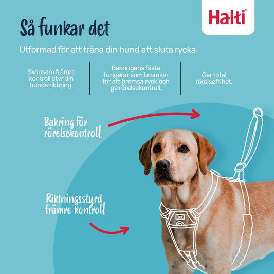 V4H57FA01364555ABF8B8F65B1617561966R7523827P2