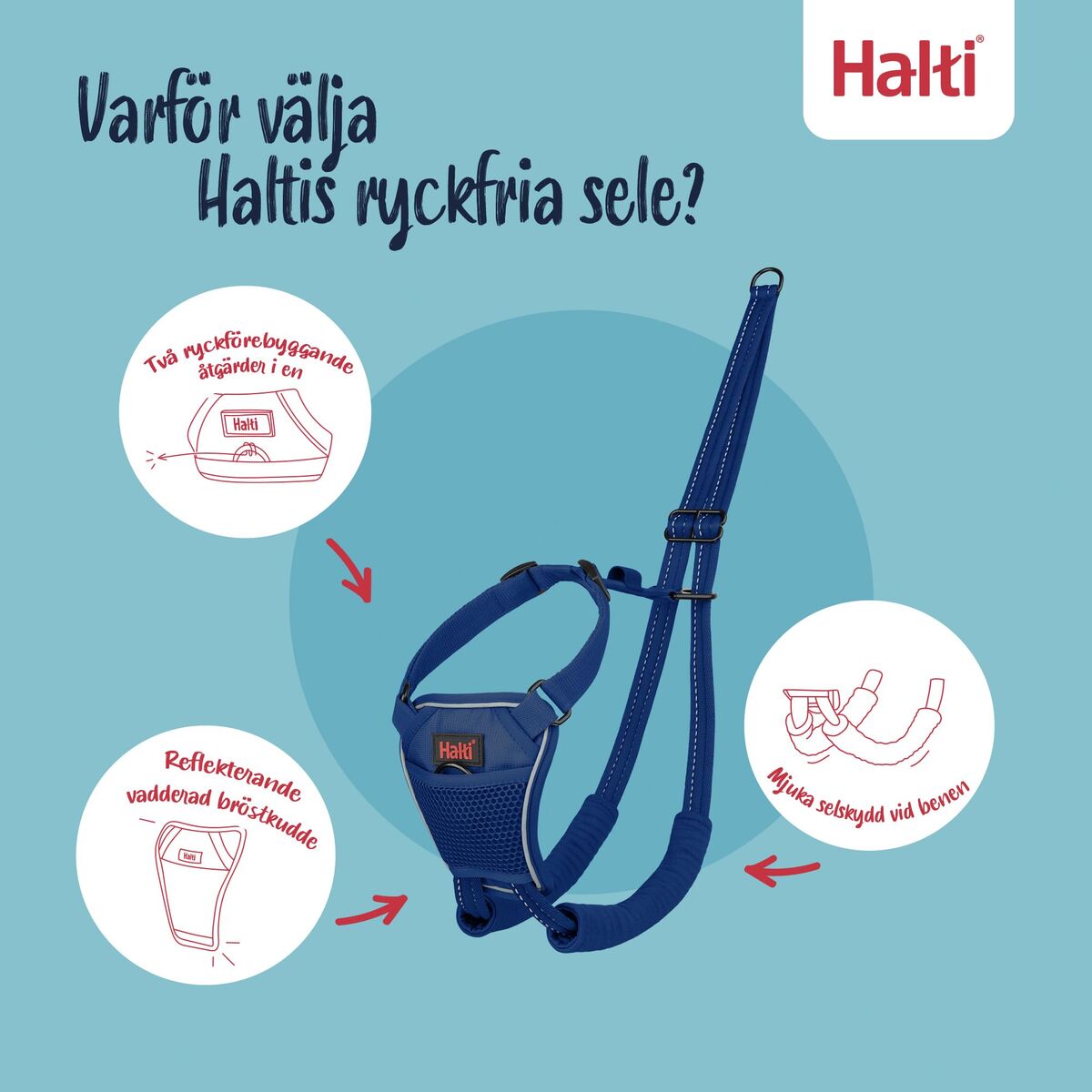 V4H7D01388823993479008BAEF0A7EAE0DBR7523828P3