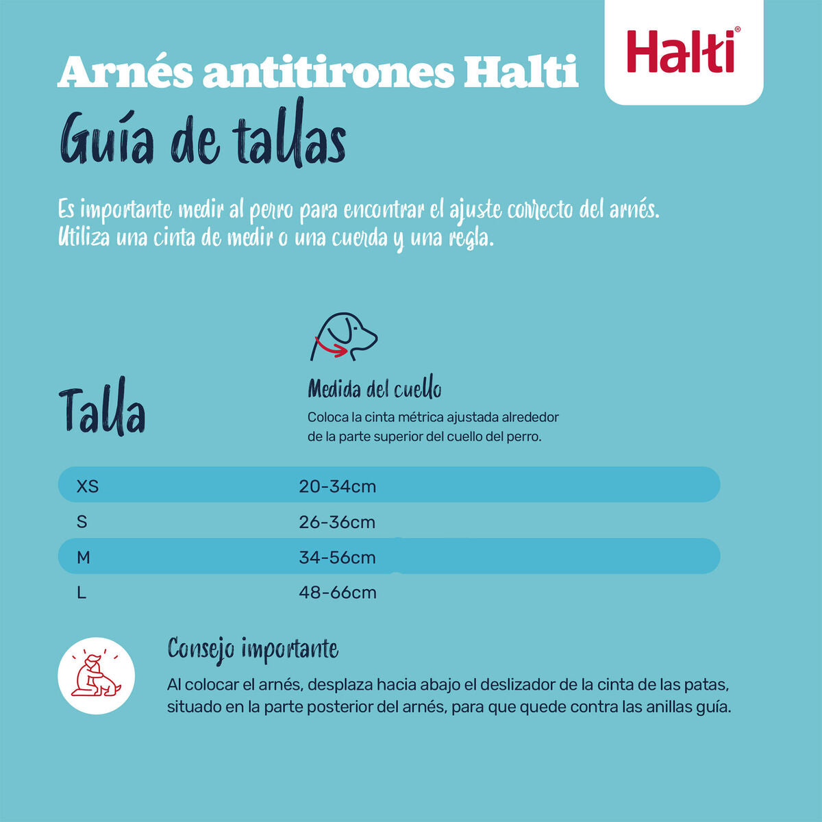 V4H2407AB9AE48990FB1ECFE113CCC37CB0R7523822P9