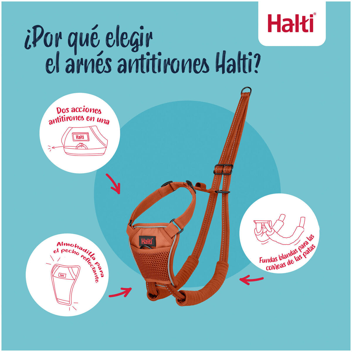 V4H88B488D51657F57F67D32A95383A6A9DR7523701P7