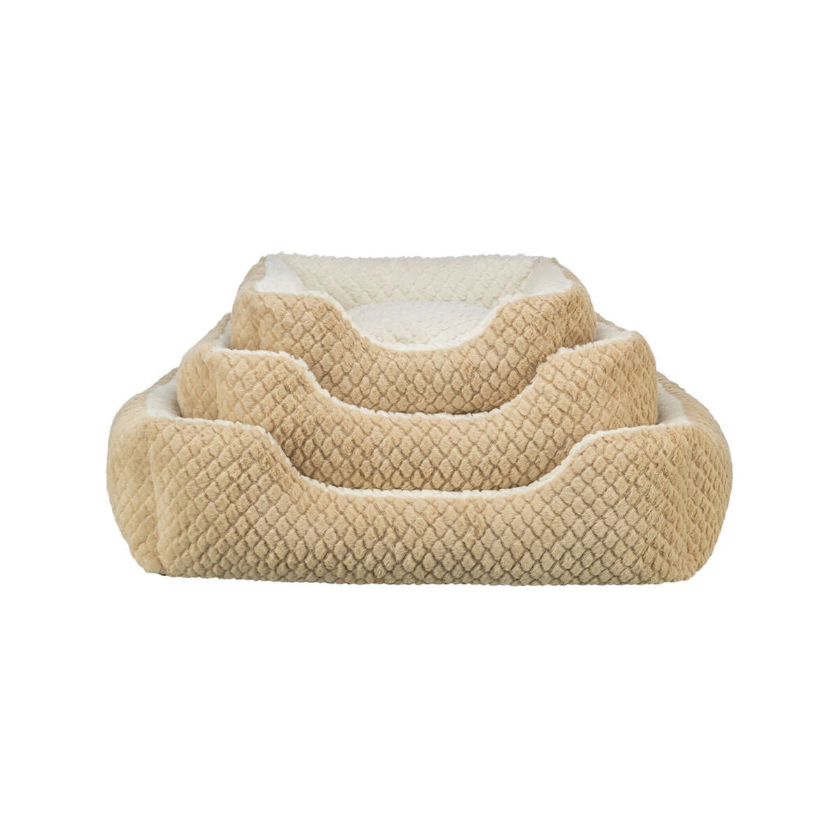 V5H9382598E591A4AB14F57E48EF022FBE5R7453129P2