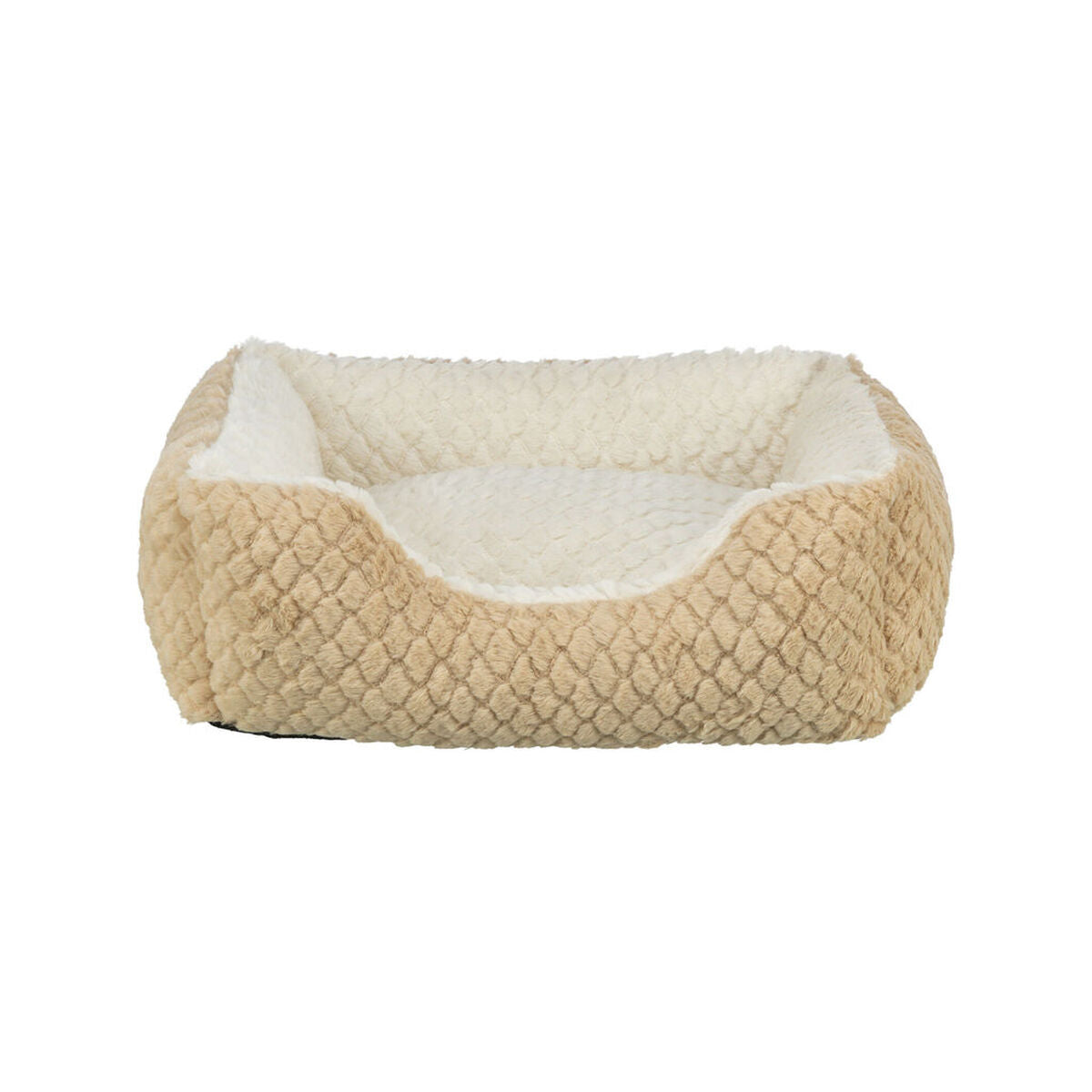 V5HC99975E155BDFC3CBB71D2593E00364CR7450088P1